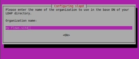 Screenshot of prompt asking to enter your org name "Screenshot of prompt asking to enter your org name"